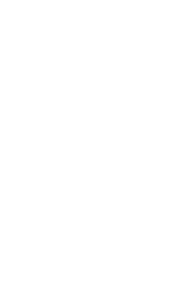 Logo Mainstreet